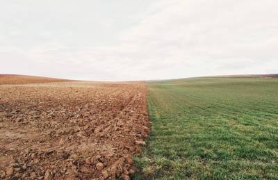 Сельхозземля в Украине подорожала: назван регион с самым стремительным ростом