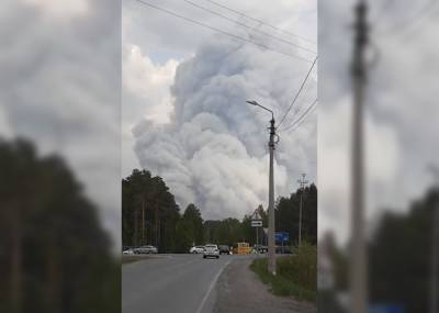 Площадь лесных пожаров в Югре увеличилась в 1,3 раза за сутки