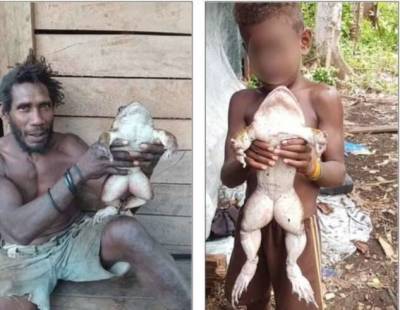 На Соломоновых островах местные жители нашли огромную лягушку