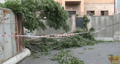 Мощные ветры и ливни в Армении: как спасатели устраняли последствия непогоды – видео