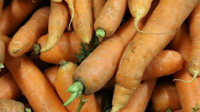 В Башкирии за неделю подорожали морковь и капуста