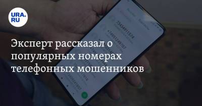 Алексей Сизов - Эксперт рассказал о популярных номерах телефонных мошенников - ura.news