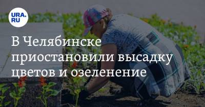 В Челябинске приостановили высадку цветов и озеленение