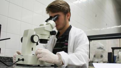 Ученые из США открыли новый класс биомолекул