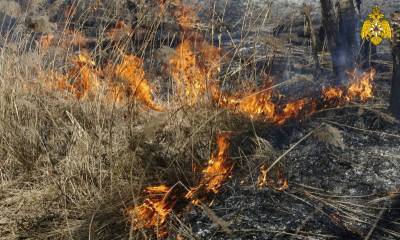 За сутки ульяновские пожарные выезжали на тушение сухой травы 2 раза