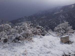 Нежданный снег выпал на выходных в Кашкадарье