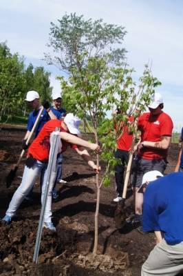 Более 1,5 тыс. работников АО «Транснефть-Верхняя Волга» приняли участие в экологическом субботнике