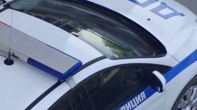 Убегавший от ДПС житель Ленобласти слетел на Renault в кювет