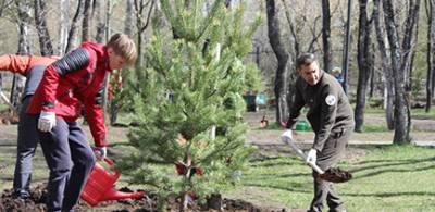 В общегородской акции по посадке деревьев поучаствовали более двух тысяч иркутян