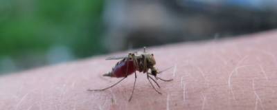 В Башкирии зарегистрирован еще один случай завозной малярии