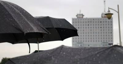Синоптики рассказали о погоде в Калининграде на рабочую неделю