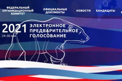 Стартовал праймериз «Единой России»: тест-драйв электронного голосования из Тулы