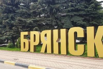 В Брянске пострадала от вандалов инсталяция на площади Партизан