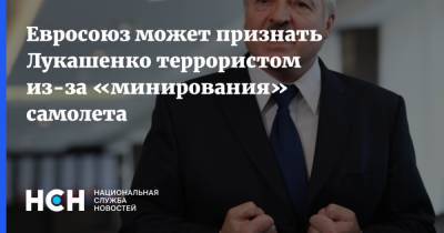 Евросоюз может признать Лукашенко террористом из-за «минирования» самолета