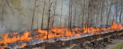 В Тюменской области за сутки возникло 20 новых природных пожаров