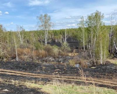 44 пожара ликвидировали в лесах Ульяновской области