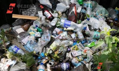 В Приморье ввели режим ЧС из-за мусорного коллапса