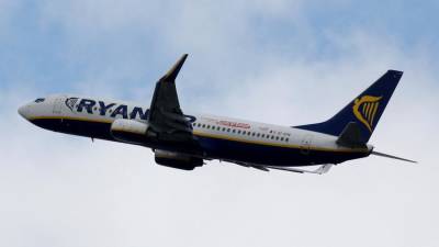 МИД Ирландии потребовал от ЕС твердого ответа на инцидент с самолетом Ryanair