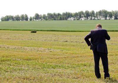 Зеленский подписал закон о передаче сельхозземель из государственной в коммунальную собственность
