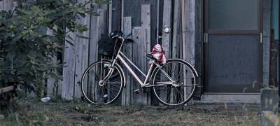 Житель Петрозаводска продал угнанный велосипед в 20 раз дешевле его стоимости
