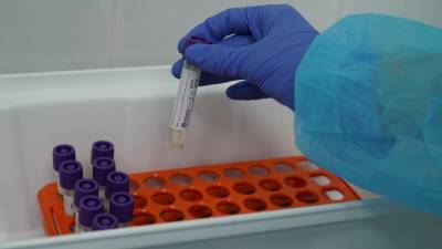В России выявили 154 образца неописанных мутаций коронавируса