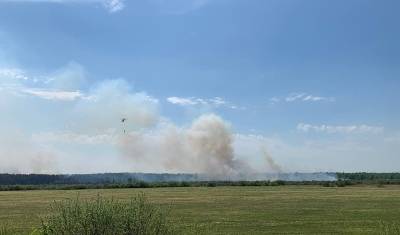 За минувшие сутки в Тюменской области произошло 20 природных пожаров