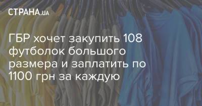 ГБР хочет закупить 108 футболок большого размера и заплатить по 1100 грн за каждую - strana.ua