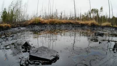 Эксперт прокомментировал разлив нефтепродуктов в Коми