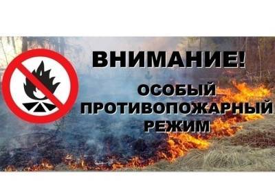 В Костромской области на три дня вводится режим повышенной пожароопасности