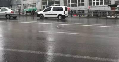 В Киеве на новом Шулявском мосту из-за дождя появился "фонтан" из-под асфальта (ФОТО)