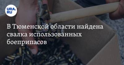 В Тюменской области найдена свалка использованных боеприпасов. Фото
