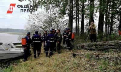 В правительстве РФ шокированы пожарами в Тюменской области