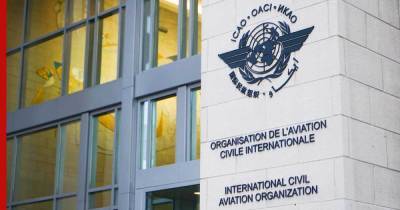 Запрос на приостановку полетов над Белоруссией получила ICAO