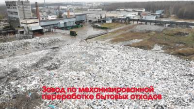 Жители Красносельского района обратились в ЗакС с жалобой на свалки