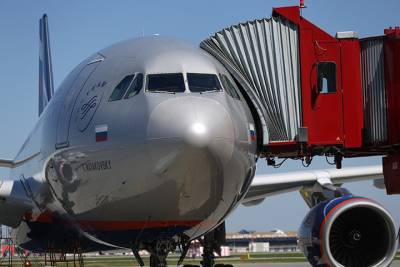Росавиация: Полеты авиакомпаний РФ в Белоруссию осуществляются в штатном режиме