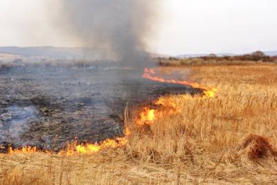 32 лесных пожара произошло в Ленобласти с начала сезона