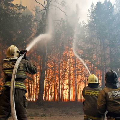 На тушение лесных пожаров дополнительно выделят 3 млрд рублей
