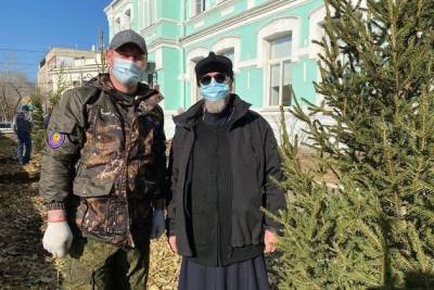 Мэрия планирует завозить деревья в Читу из Новосибирска и Красноярска