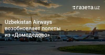 Uzbekistan Airways возобновляет полеты из московского аэропорта «Домодедово»