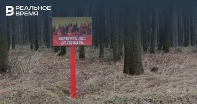 МЧС Татарстана напомнило о сохранении чрезвычайной пожарной опасности лесов