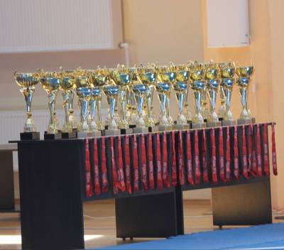 Рязанцы завоевали медали домашнего турнира по тхэквондо