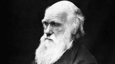 Признаки расизма найдены в работах Чарльза Дарвина