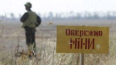 Украина предложила новый подход к разминированию Донбасса