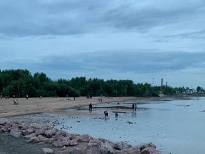 Петербуржцы жалуются на огромную свалку у Жемчужного пляжа