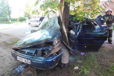 30-летний мужчина в Донском разбился насмерть, влетев на машине в дерево
