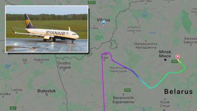 ЕС вызывал посла Белоруссии из-за инцидента с самолетом Ryanair