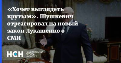 «Хочет выглядеть крутым». Шушкевич отреагировал на новый закон Лукашенко о СМИ