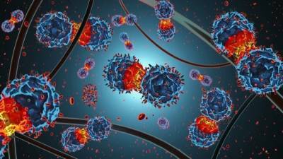 Опаснее COVID: В ВОЗ спрогнозировали появление нового смертоносного вируса