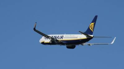 Евросоюз обратился к Беларуси из-за инцидента с самолетом Ryanair
