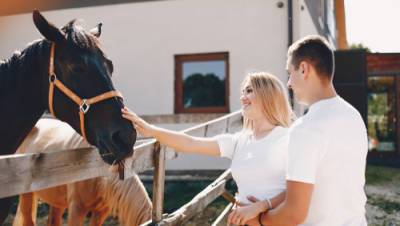 Школьница из Ришон ле-Циона влюбилась во владельца коня, мать подала в суд
